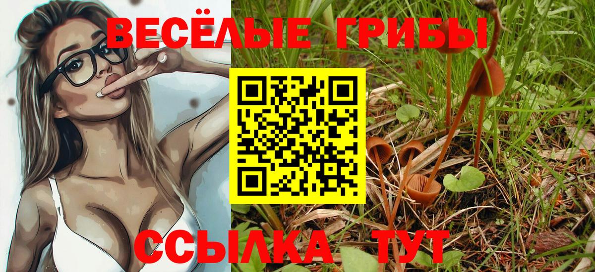 Краснокаменск  наркота  Вход с VPN  Галлюциногенные грибы Cubensis 